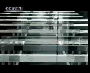 CCTV7（2008年）