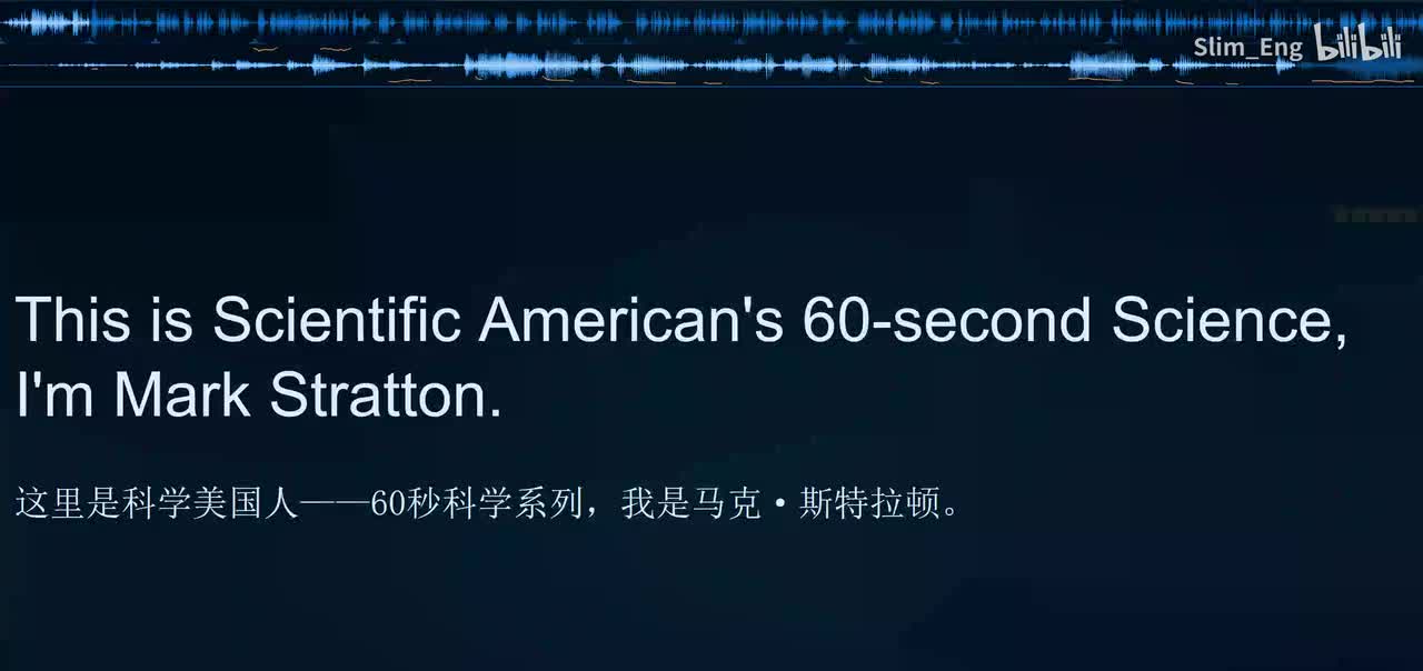 0145 科学美国人- 人类语言进化与黑猩猩咂嘴