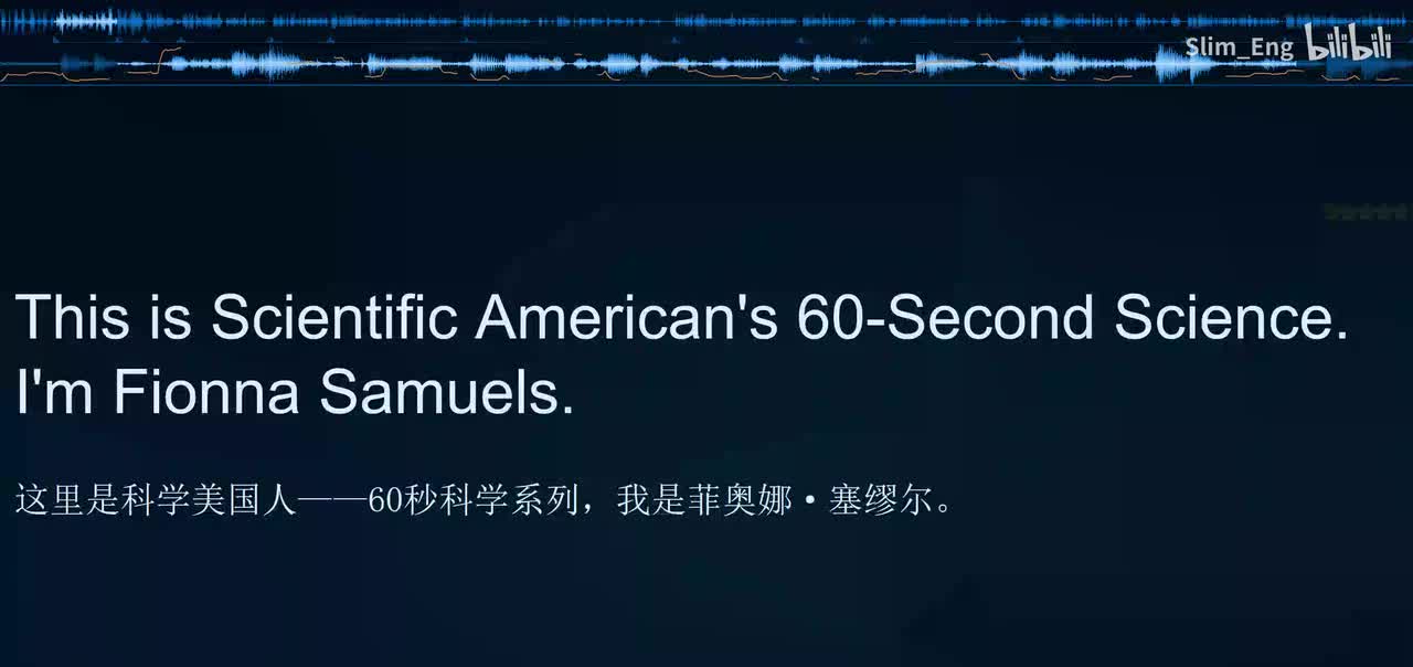 0132 科学美国人- 全球变暖与北极熊