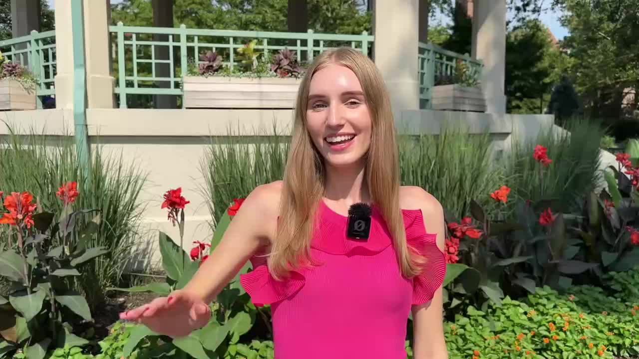 20分钟学会20个动词