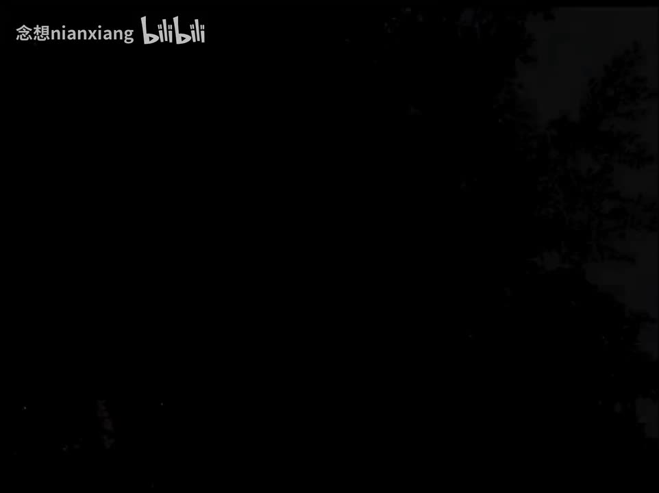 【VCD4k修复】30.第6部2：卖笋