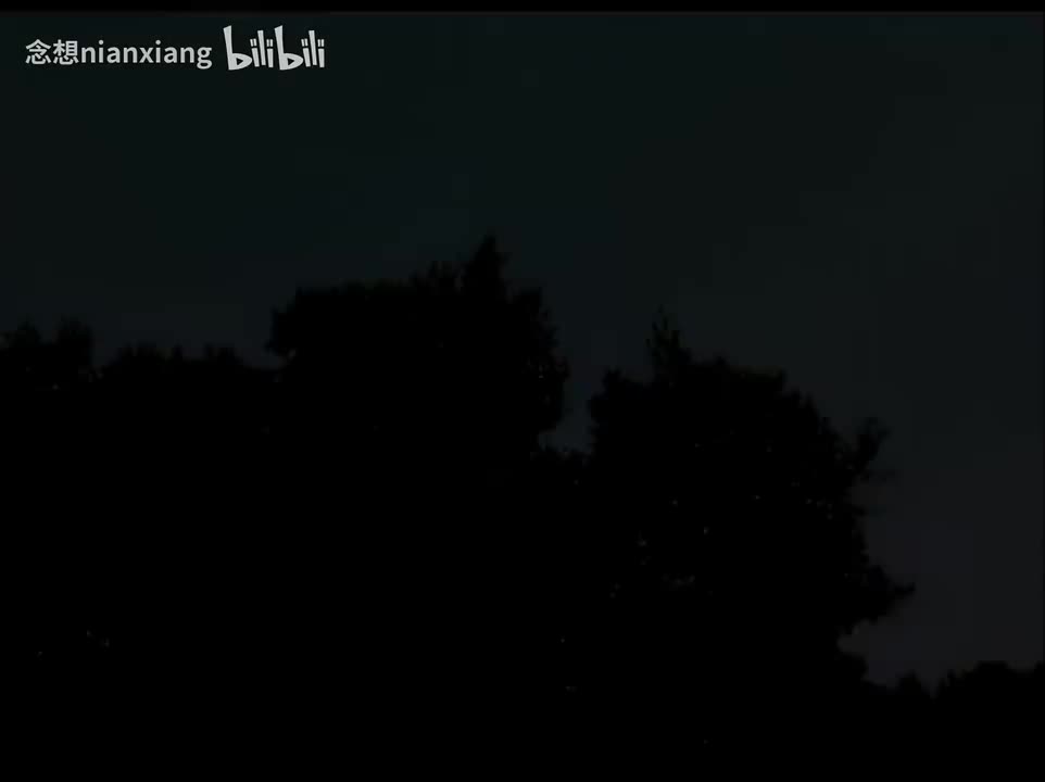 【VCD4k修复】第6部：片头