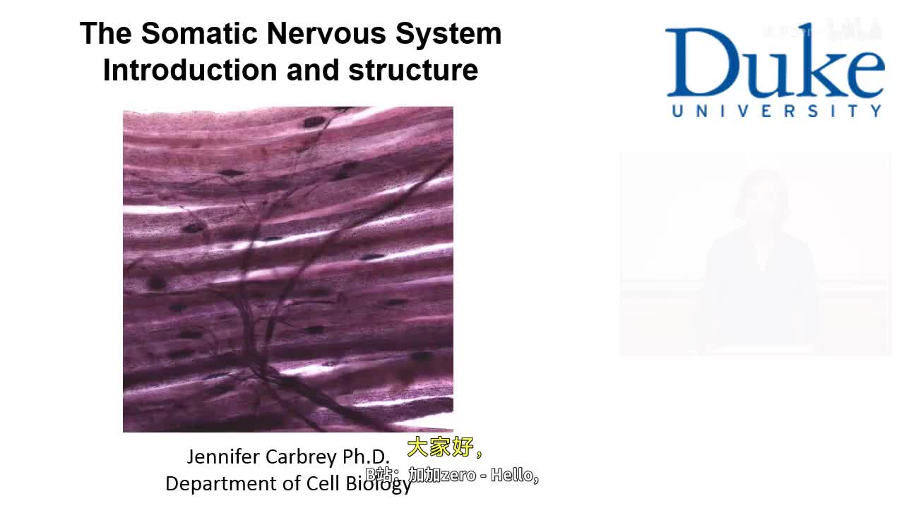 p15_01_intro-and-structure
