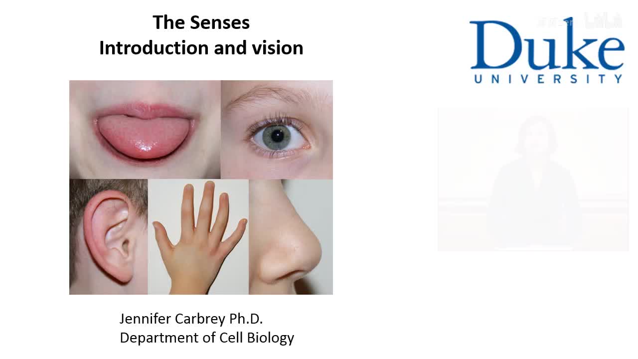 p12_01_introduction-and-vision