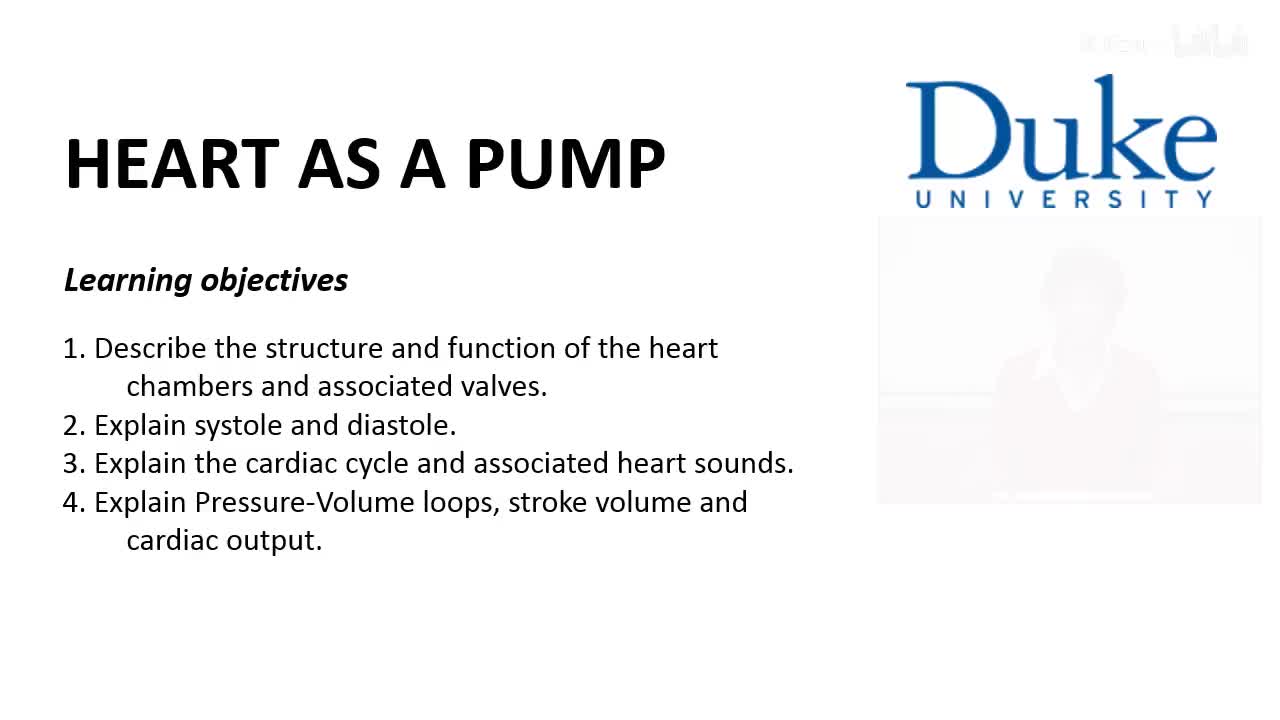 p22_02_heart-as-a-pump