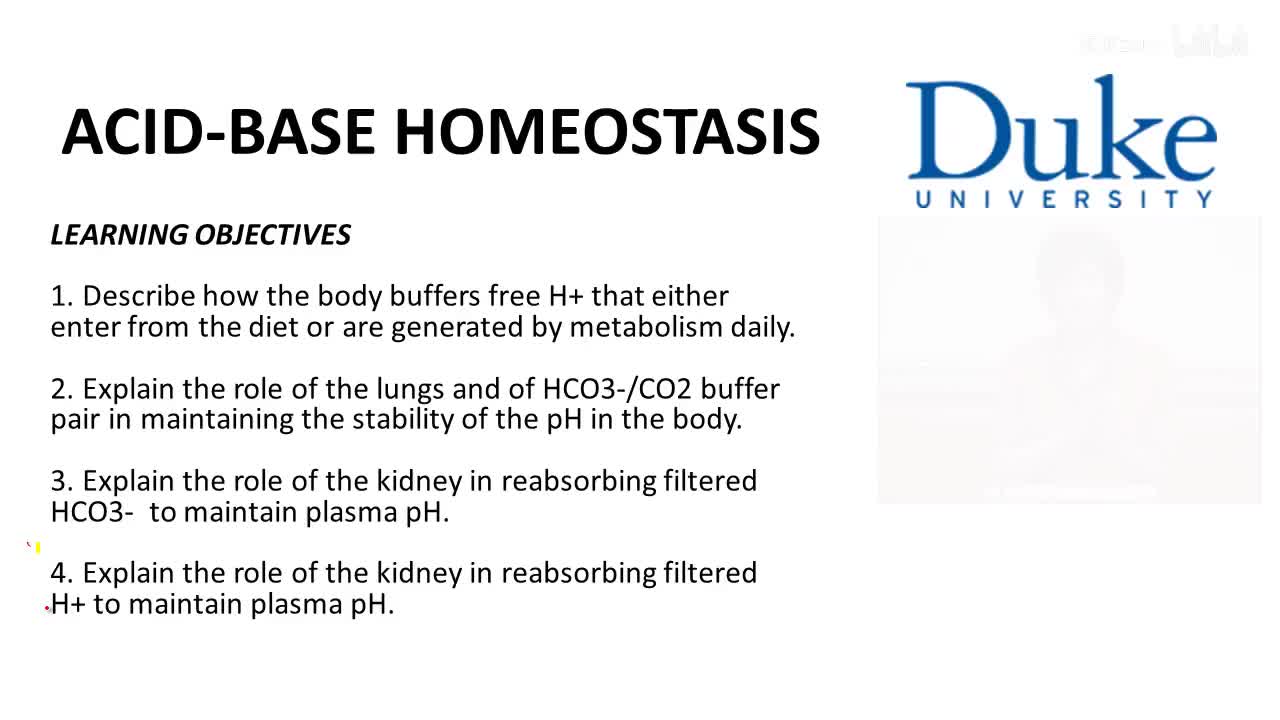 p52_01_general-concepts-and-renal-tubule-function