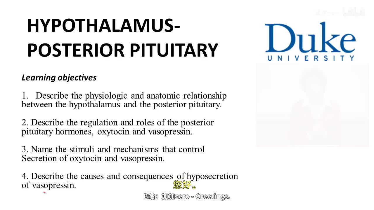 p35_02_hypothalamus-posterior-pituitary-axis