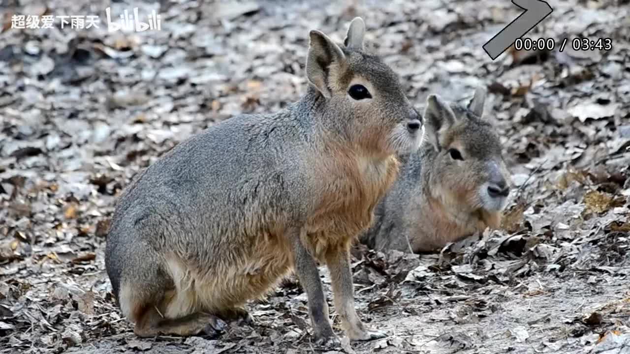 094.梁咏琪-幸福快车