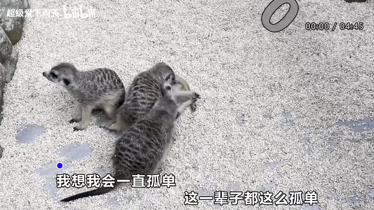 130.郁可唯-一辈子的孤单