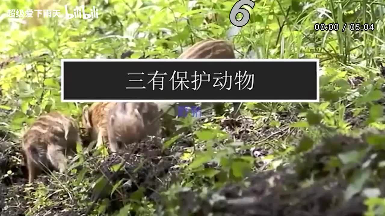 025.许茹芸_李泉-我要我们在一起