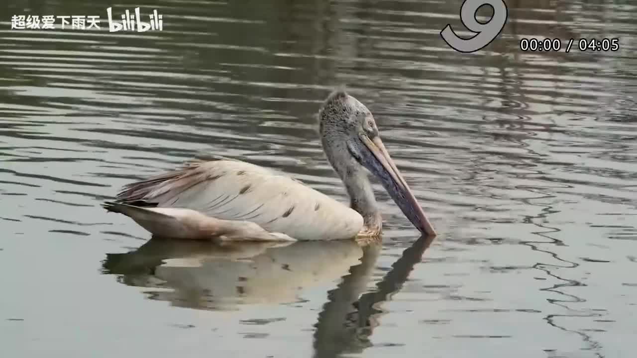 039.梁咏琪-说好的幸福呢