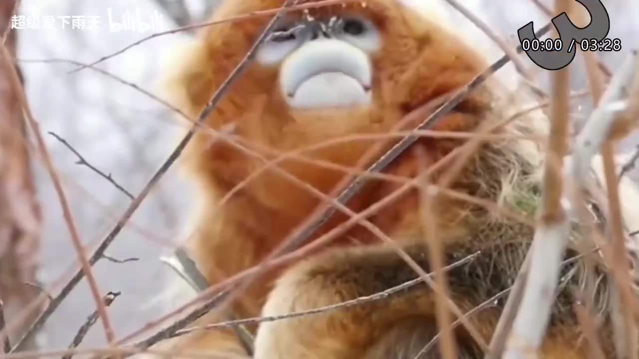 078.胡夏-听你说