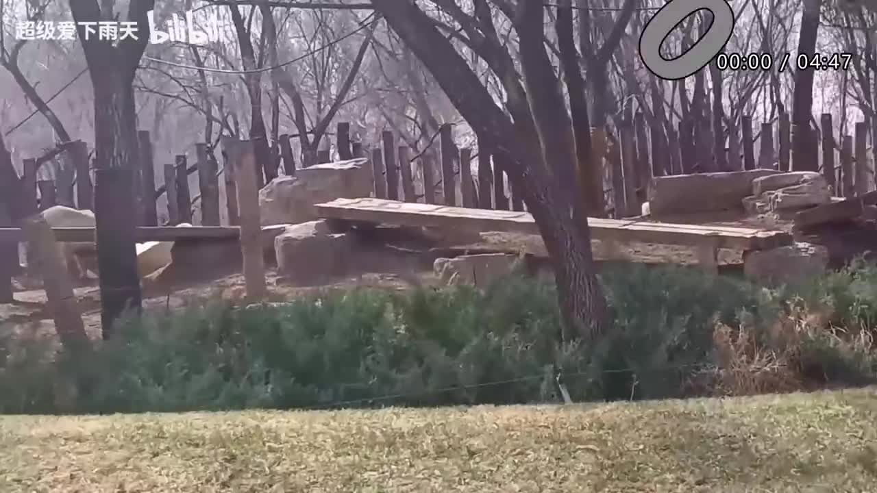 036.谭咏麟-讲不出再见