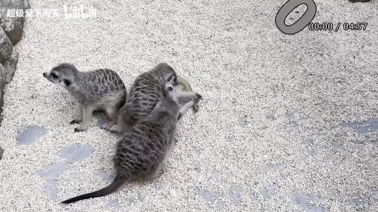 030.胡夏-你就像个小孩