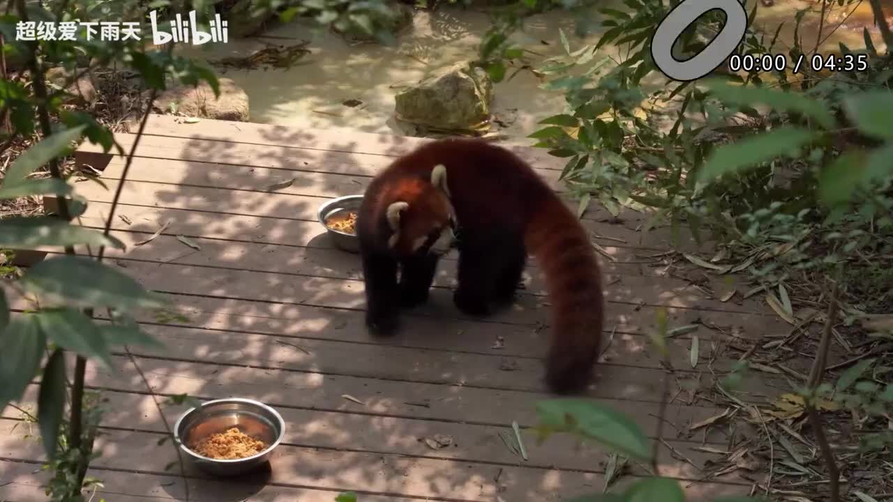 011.汪苏泷-伤心太平洋