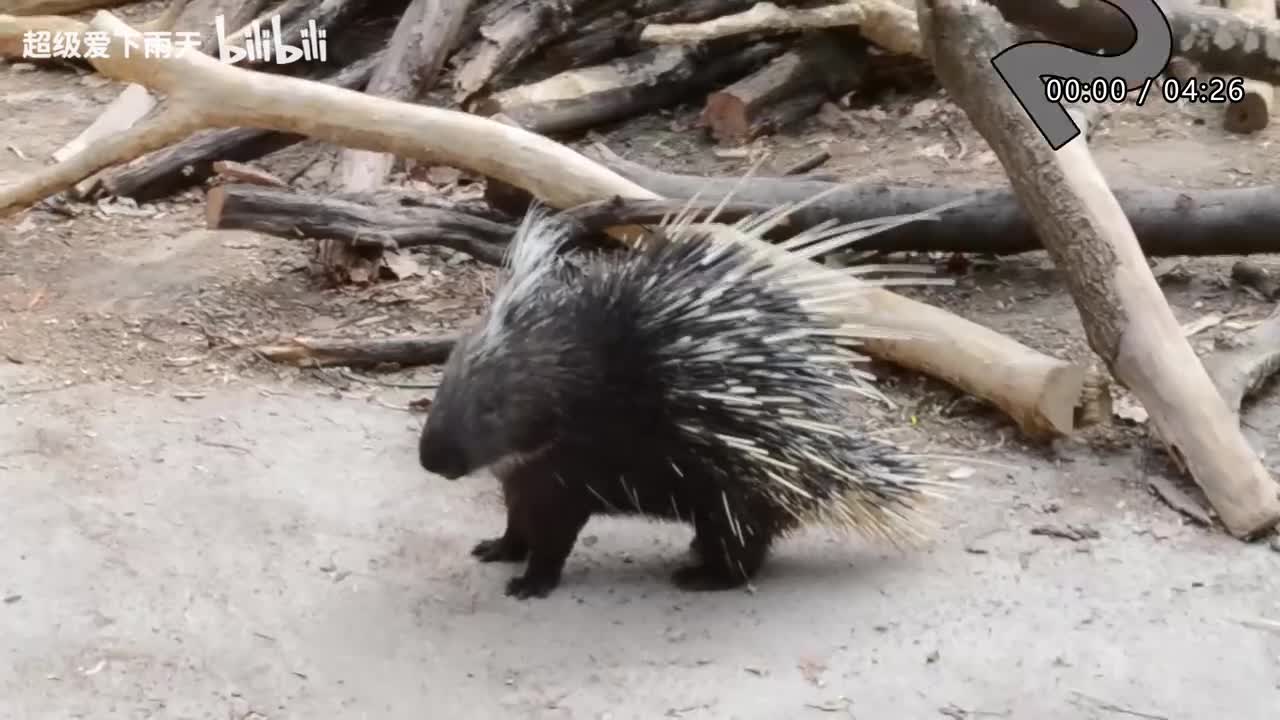 087.林志炫-散了吧