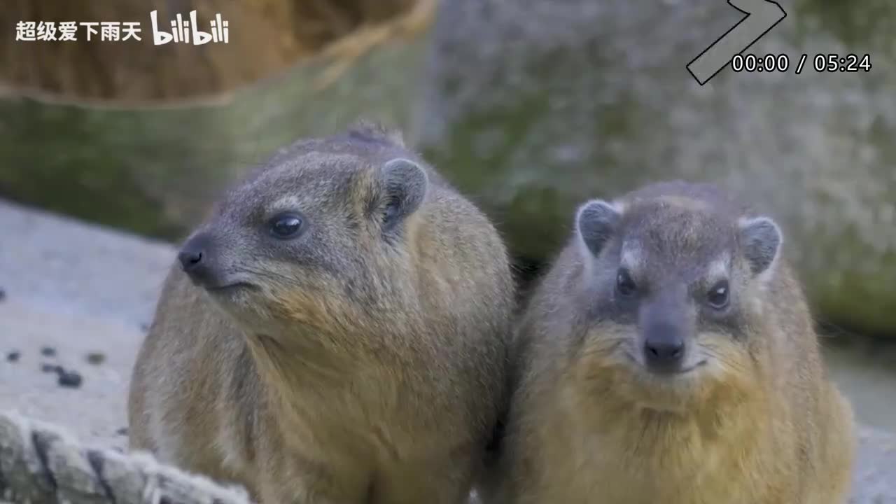 026.郁可唯-时光正好