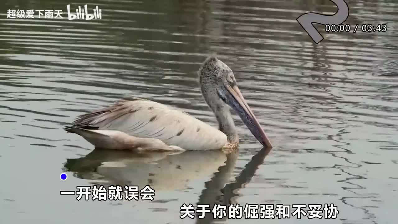 159.孙悦-天天看到你