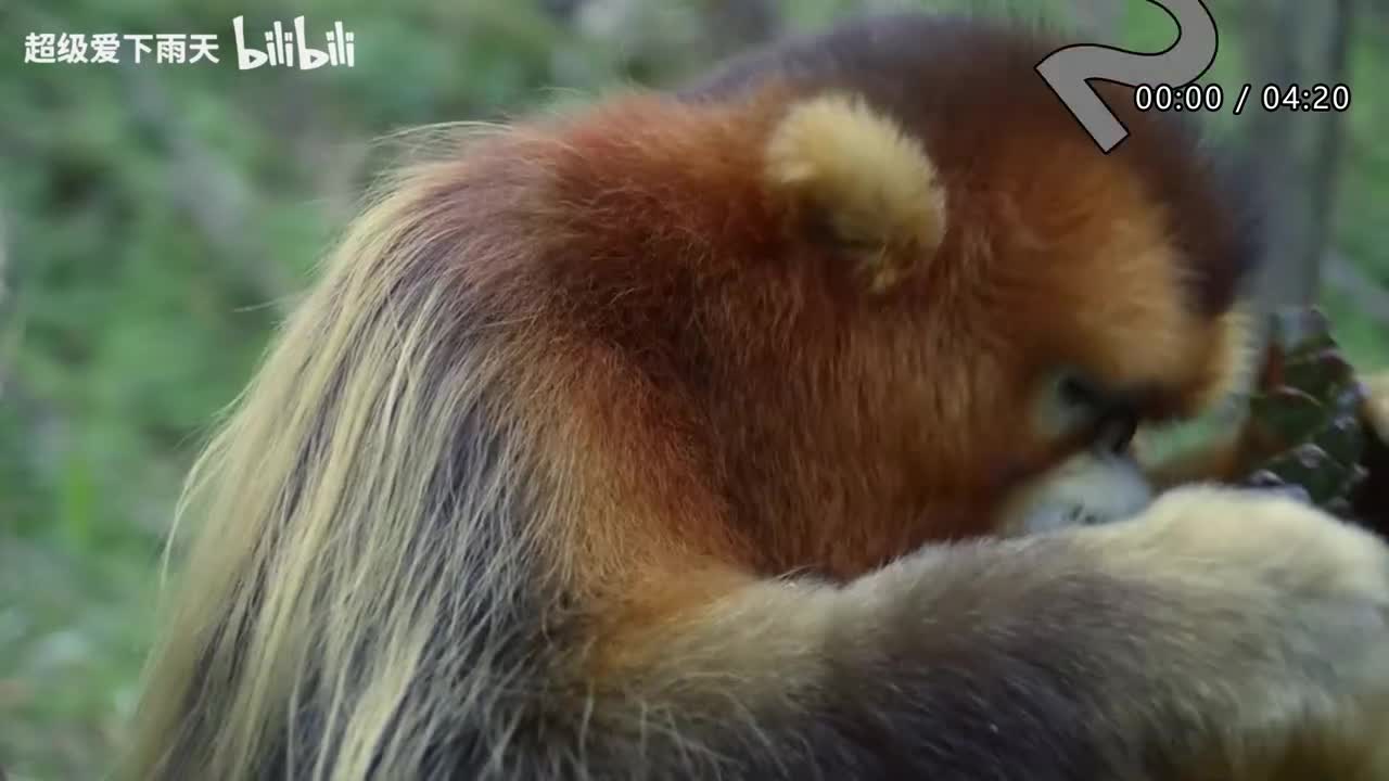 148.凤凰传奇-阳台上