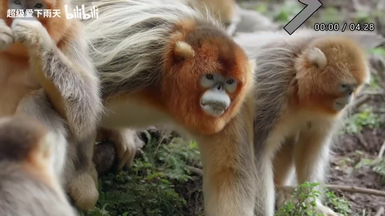 144.李克勤-一生中最爱