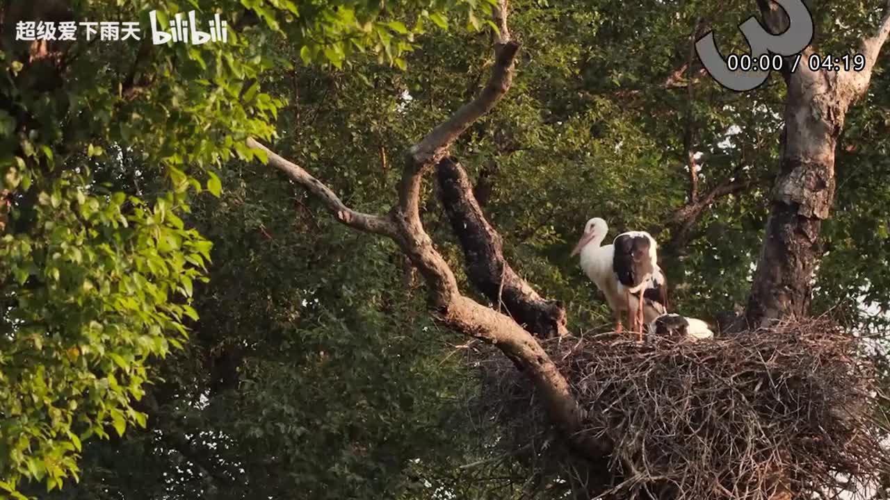 177.孙悦-快乐至上