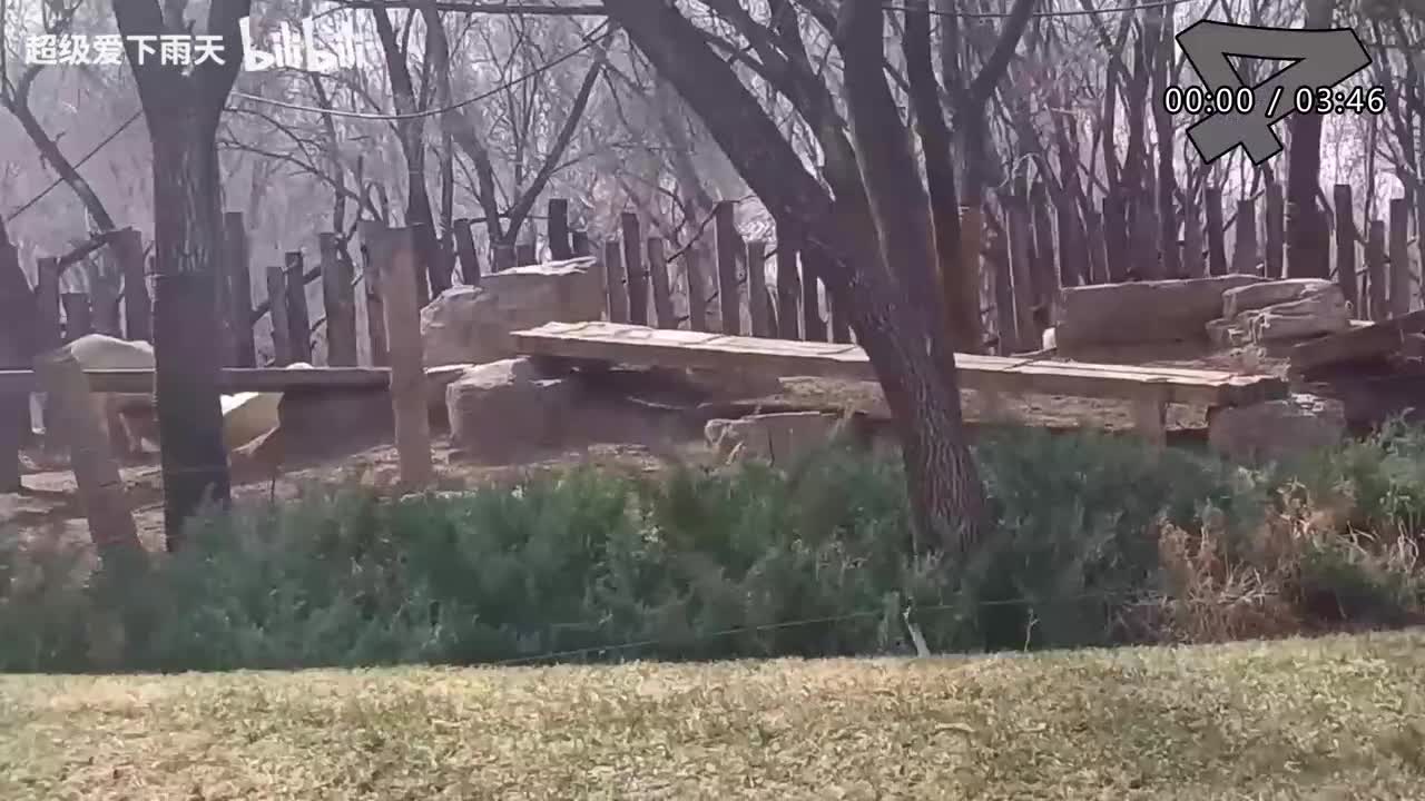 136.周深-水姻缘