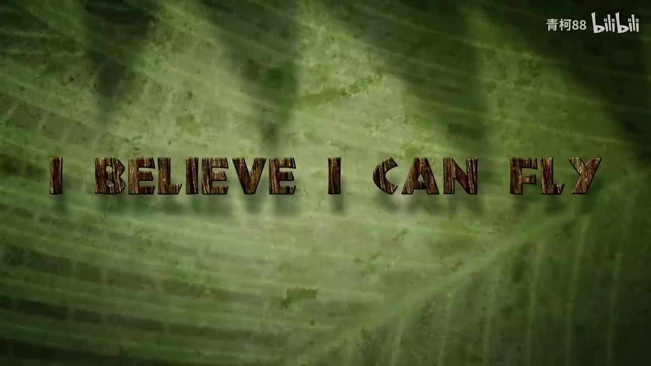 2. I belive i can fly