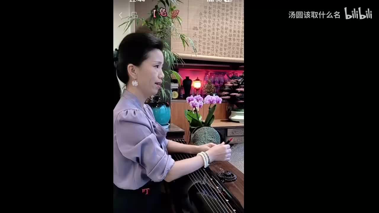 【皂罗袍】-秦香莲选段（俞丽芳翻唱）