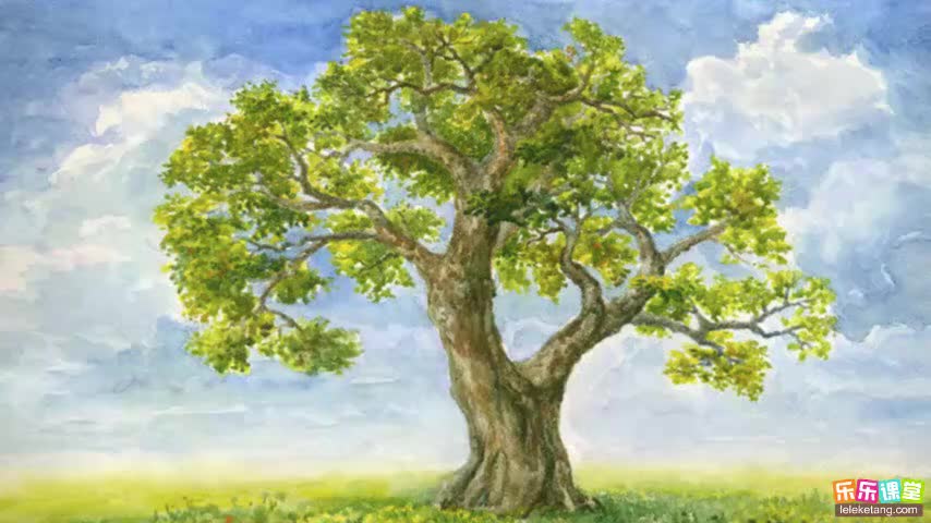 3.3.3 植物的蒸腾作用