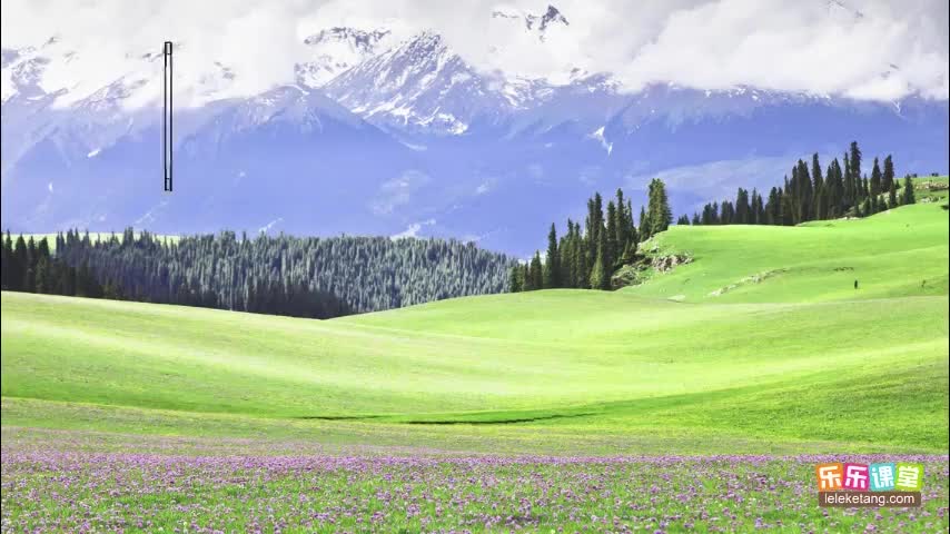 1.2.9 多种多样的生态系统