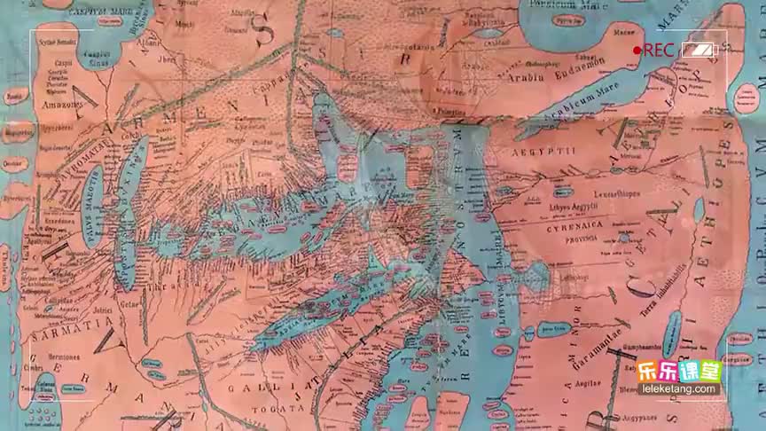 4.2.3 维生素的作用