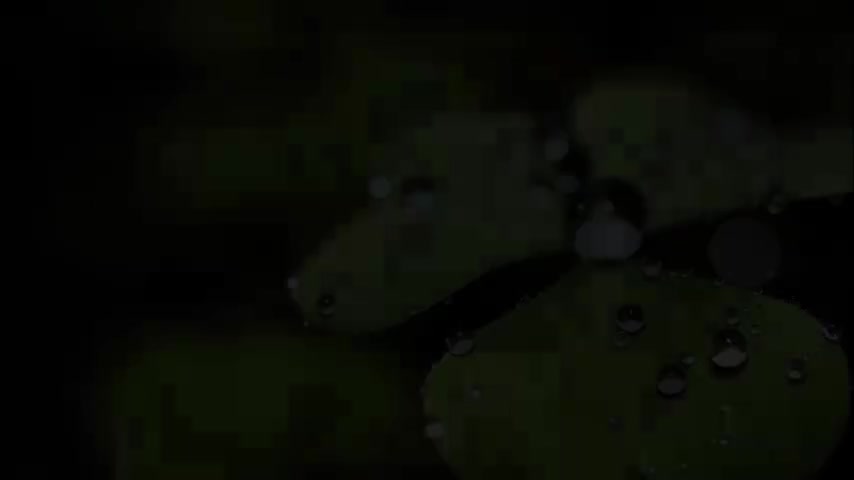 3.4.2 有机物的作用