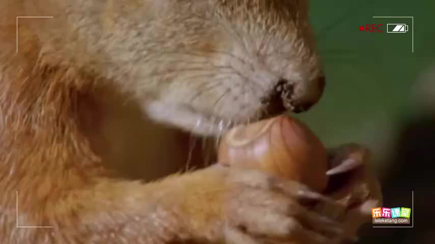 3.5.4 植物呼吸作用的过程