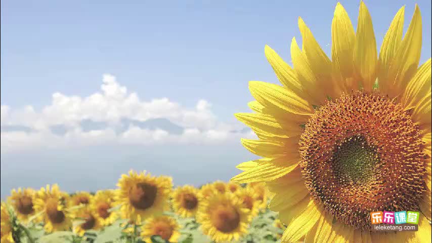 1.2.1 光对生物的影响