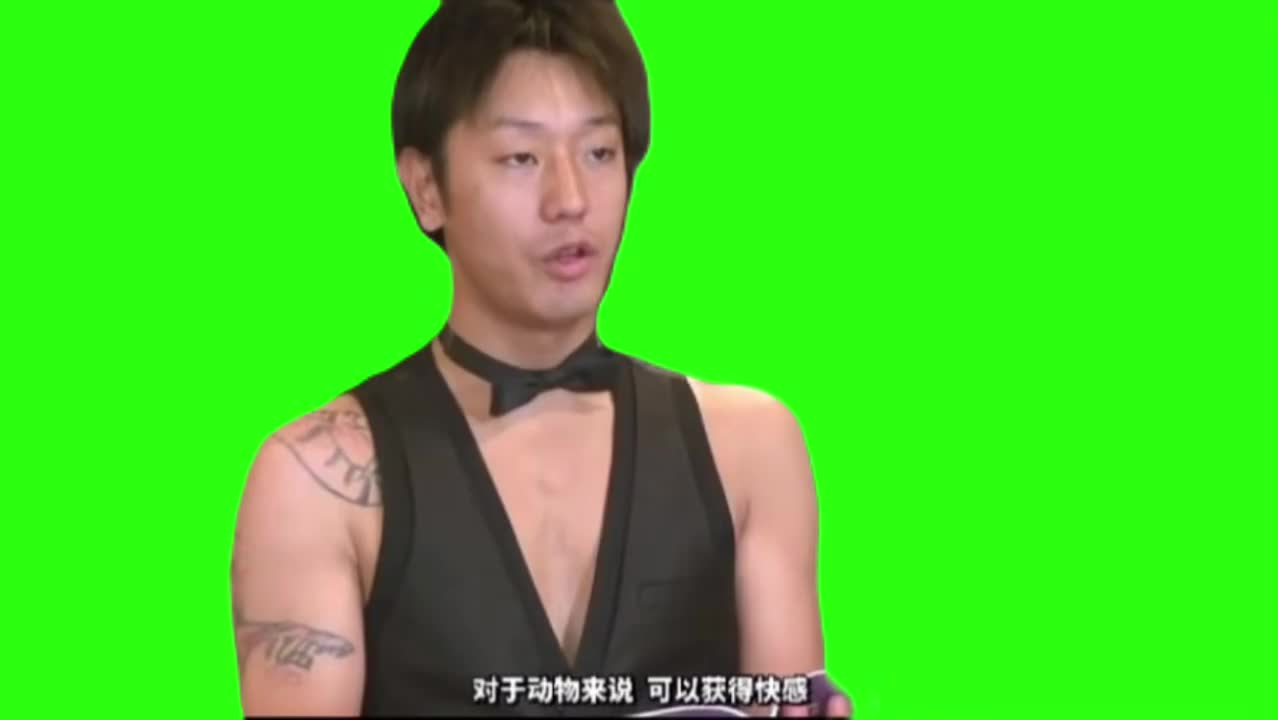 【homo金曲】多分、風背景音乐