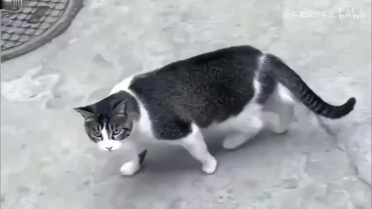 【PS教程】8.裁剪工具组