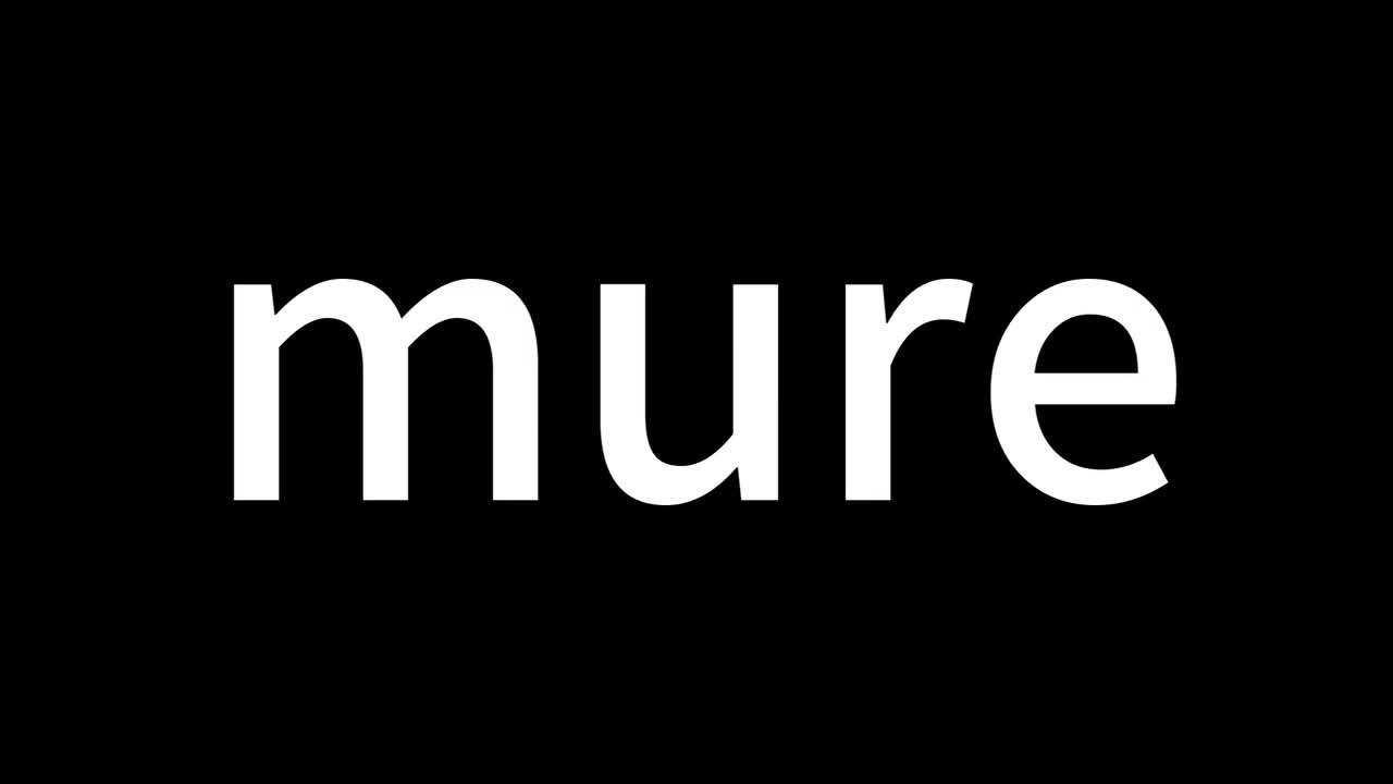 Bruh (敷衍的叫~)