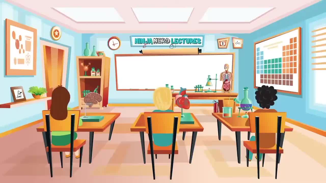 (18)Neurology Pons Anatomy & Function Xi9_WRVoynM_压制版