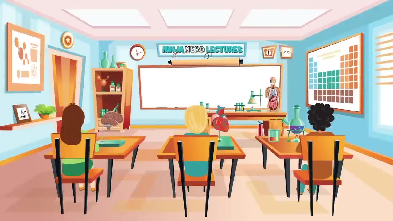 (19)Neurology Medulla Anatomy & Function fMF04LiaLFY_压制版