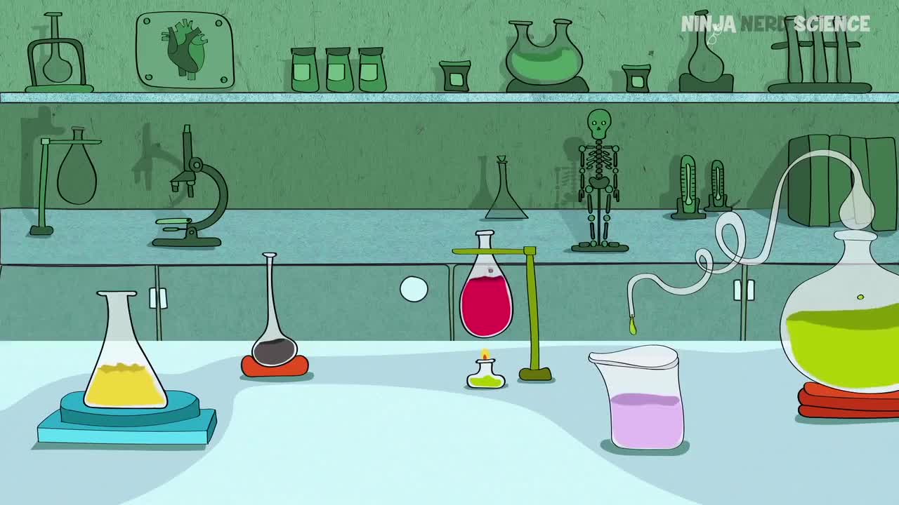 (35)Neurology Descending Tracts Overview ZsFVAmCaCkU_压制版