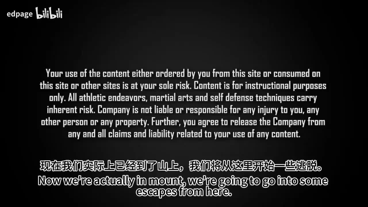 【微软翻译】中英双语Gordon Ryan Pillars of Defense Pin Escapes压制逃脱 6