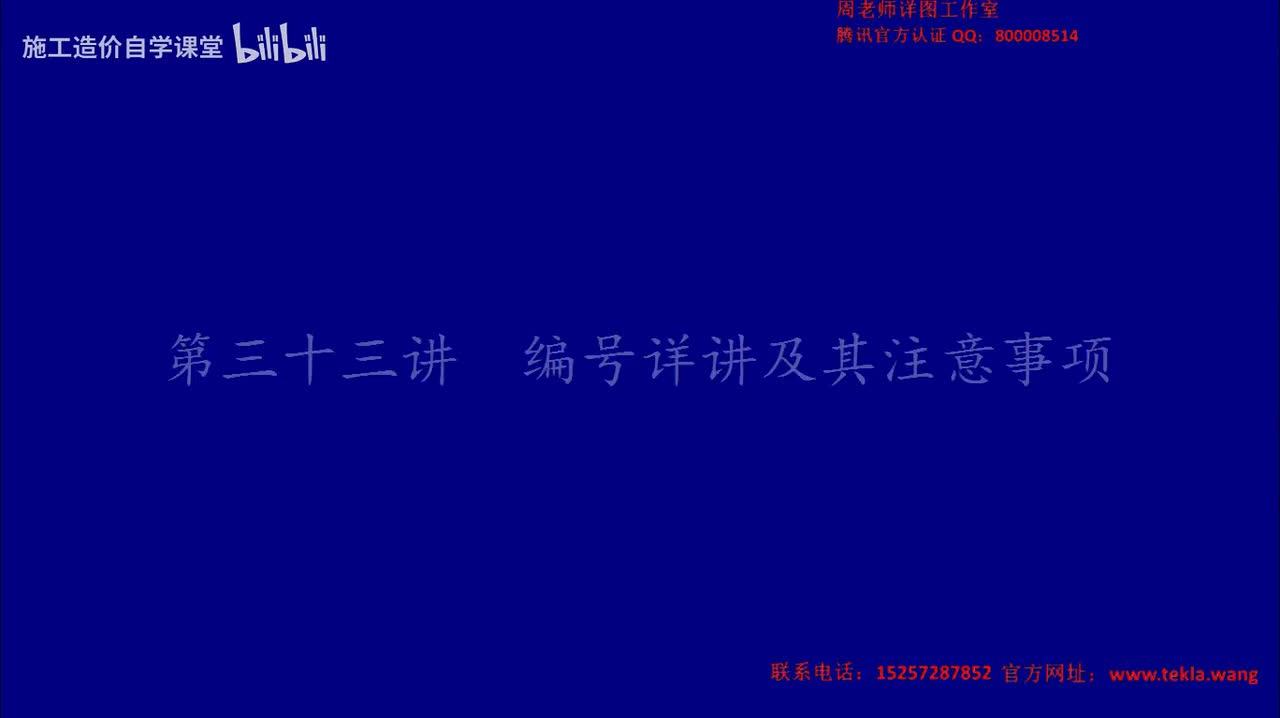 33编号详讲及其注意事项.mp4.flv