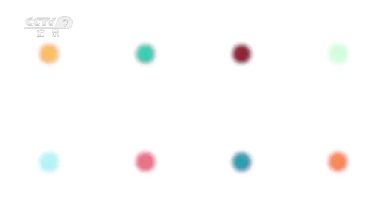 第8集 就此告别吧