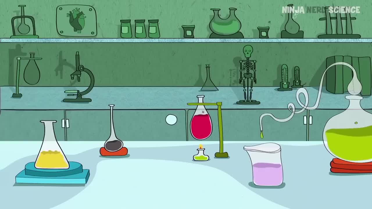 (5)Immunology _ Adaptive Immunity_压制版