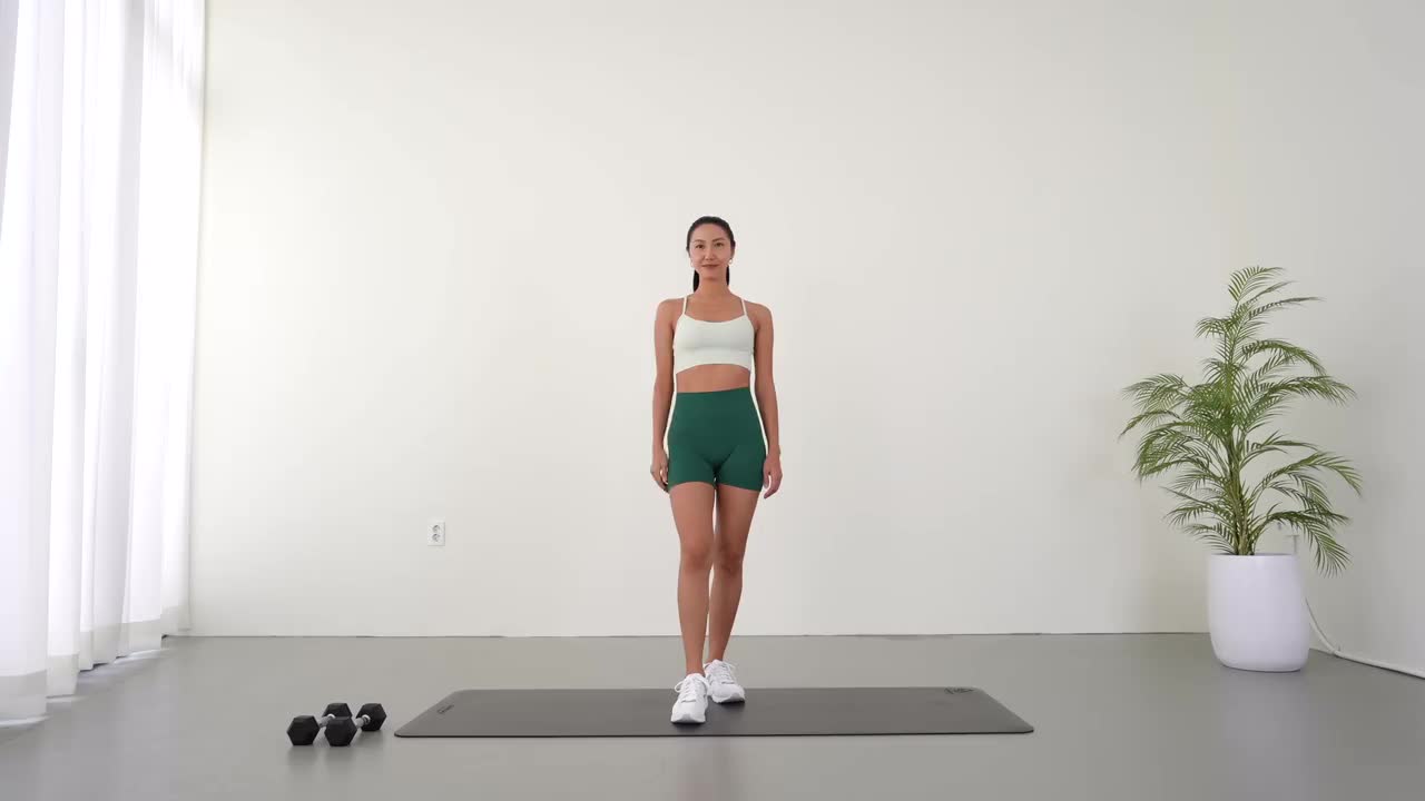 20 MIN Toned Upper Body Dumbbell Workout Arms Back ABS Standing Only No Repeat