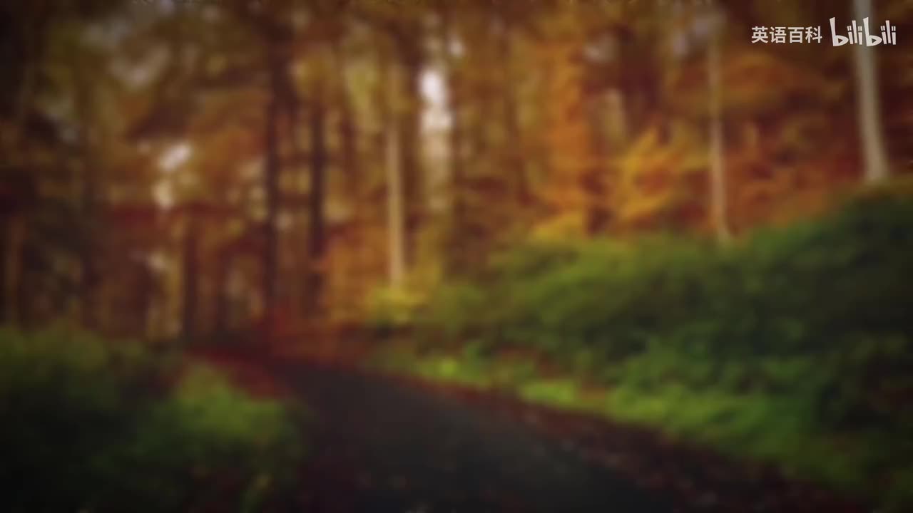 79-Bedtime Sleep Stories 🏡 Cozy Cabin under The Stars 🌟 Relaxing Story Relax