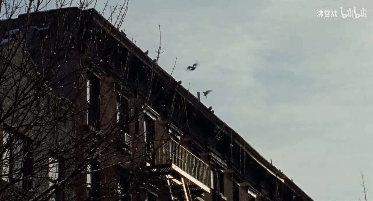 11-1【茶色羽绒服斜长刘海黑色帽子】和爸爸在去找约翰尼的路上 爸爸和他介绍这个地方