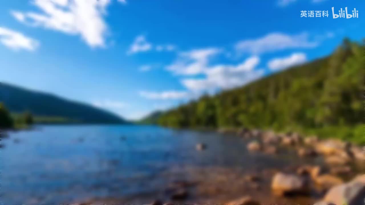 14-Bedtime Stories 🌊😴 A Journey on the Coast of Maine Relaxing Sleep Story f