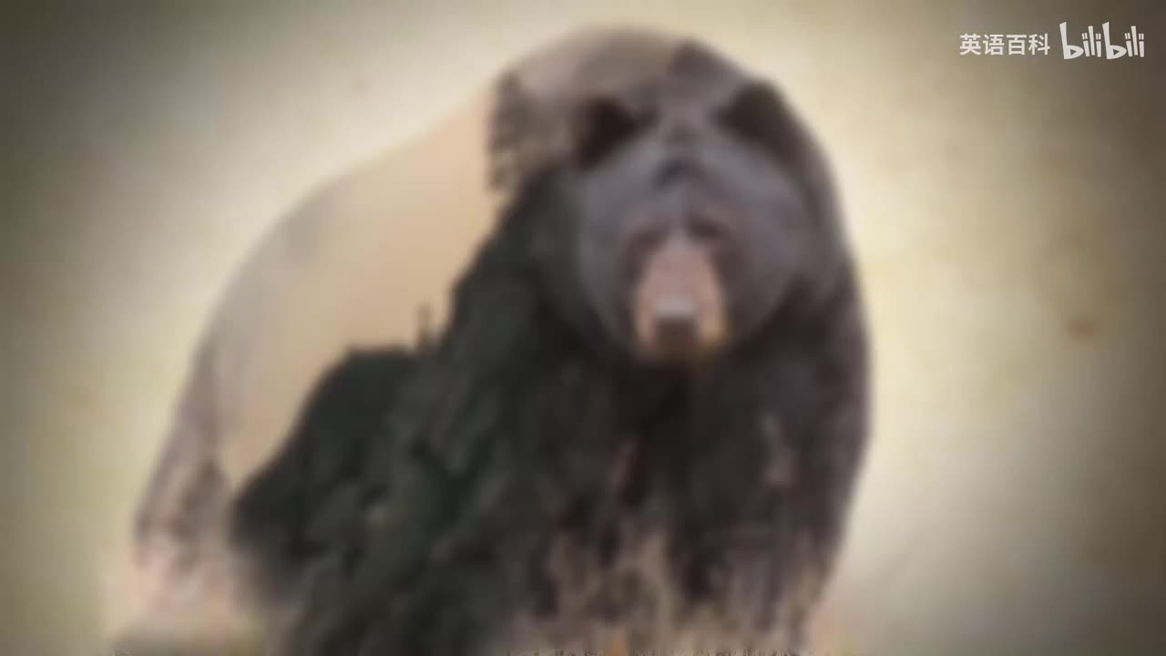 92-Bedtime Sleep Stories 🐻 How Tutokanula Got Its Name ⛰️ A Yosemite Legend R