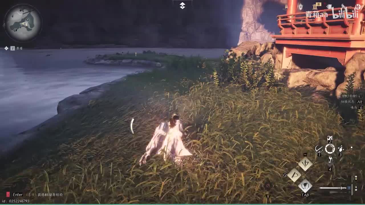 【奇遇】鸢影相随（容鸢）